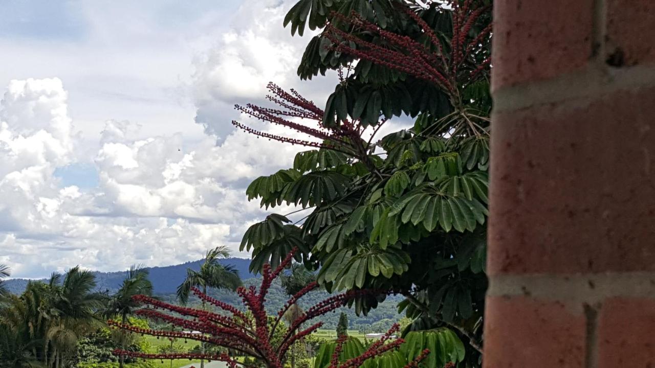 ホテル バビンダ クォーターズ Babinda エクステリア 写真