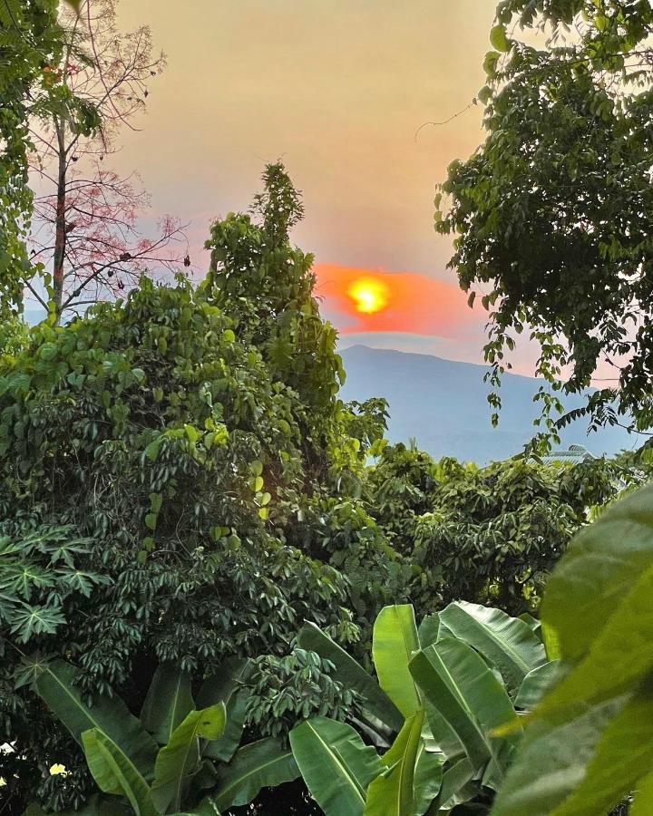 ホテル バビンダ クォーターズ Babinda エクステリア 写真