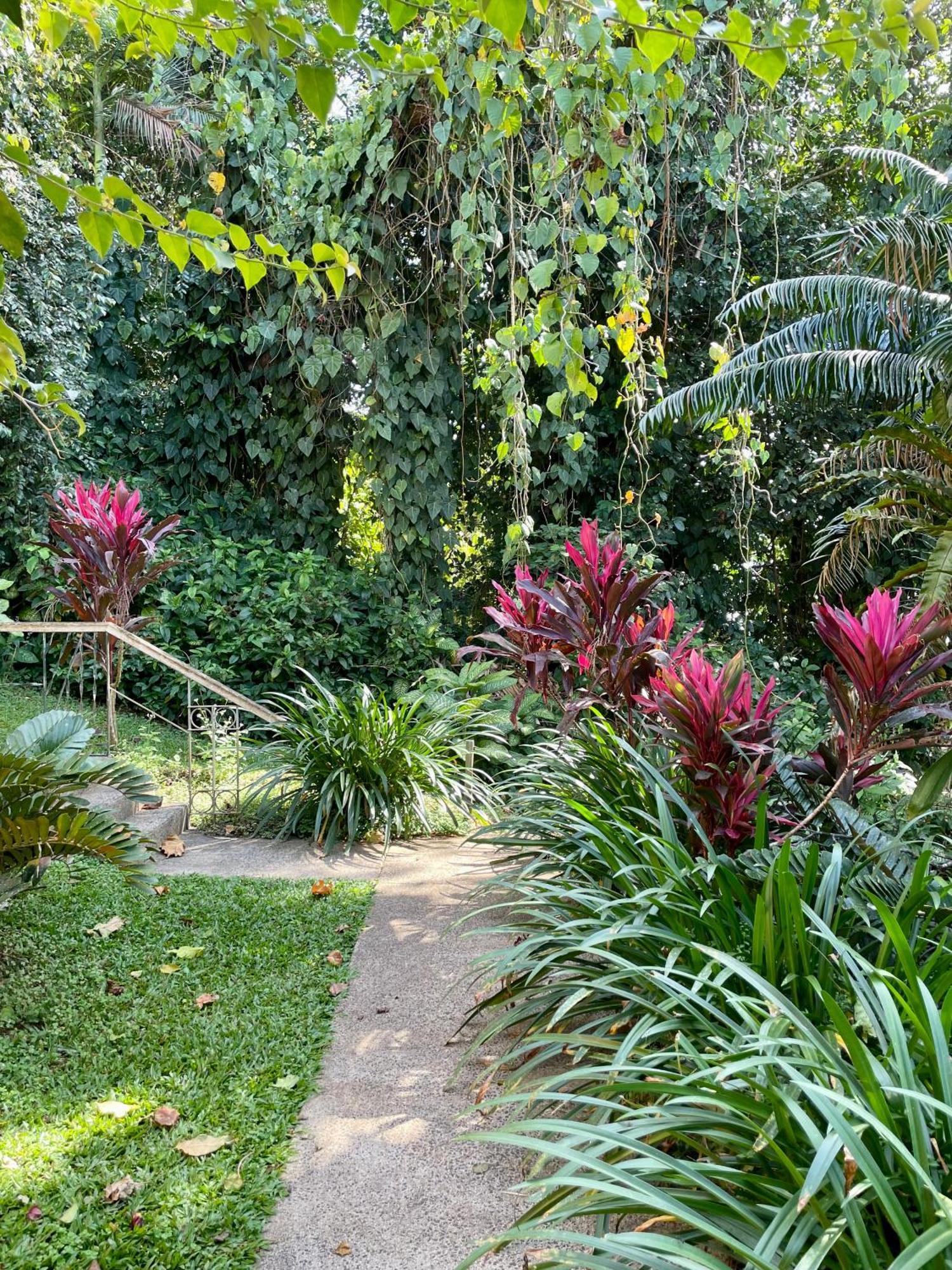 ホテル バビンダ クォーターズ Babinda エクステリア 写真